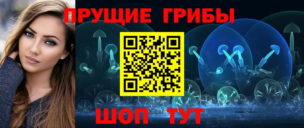 Галлюциногенные грибы Psilocybe Амурск